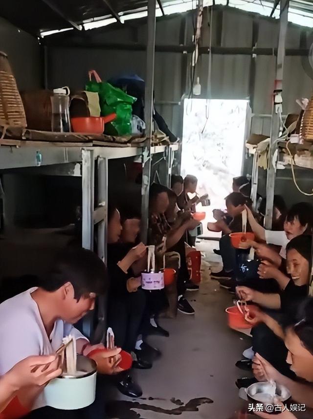 刷爆热搜的“浙江采茶女”变乱，曝光了当下社会多少高高在上的人
