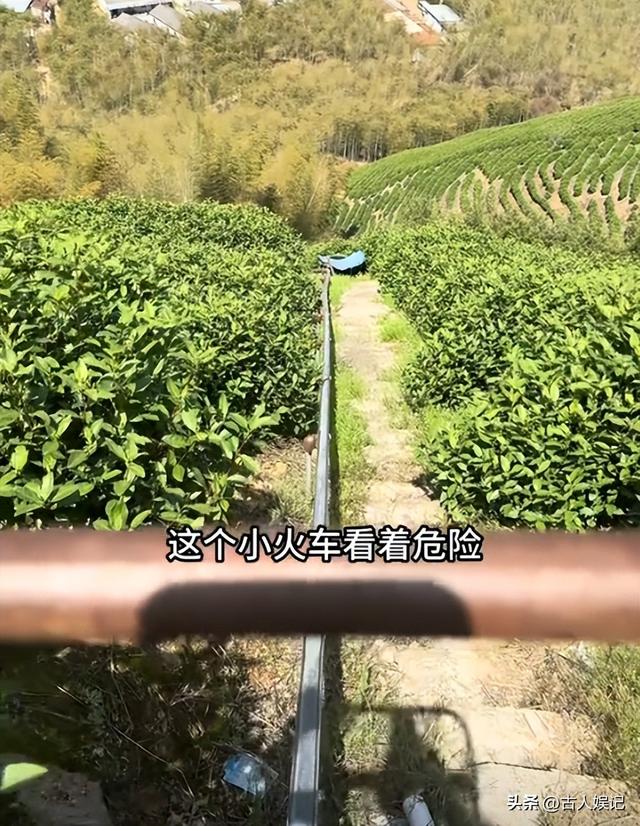 刷爆热搜的“浙江采茶女”变乱，曝光了当下社会多少高高在上的人
