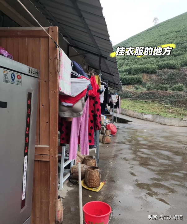 刷爆热搜的“浙江采茶女”变乱，曝光了当下社会多少高高在上的人