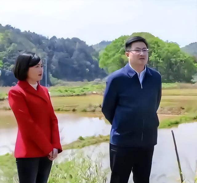 毛奇被判十年半，李佩霞被判三年，详细细节省出