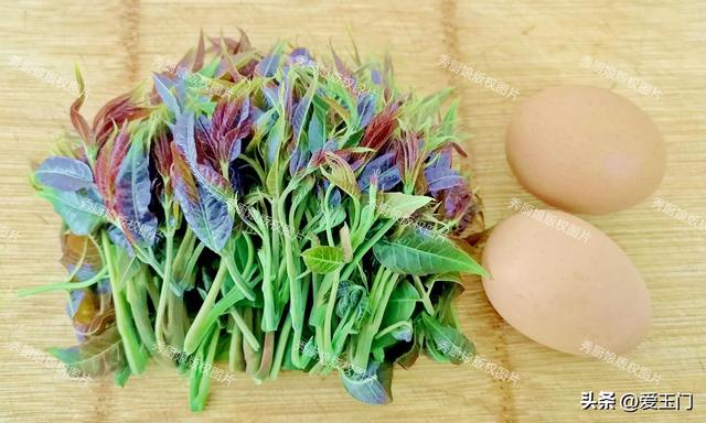 吃香椿也有禁忌？教你2种特色

做法，爱吃香椿的记得珍藏
！