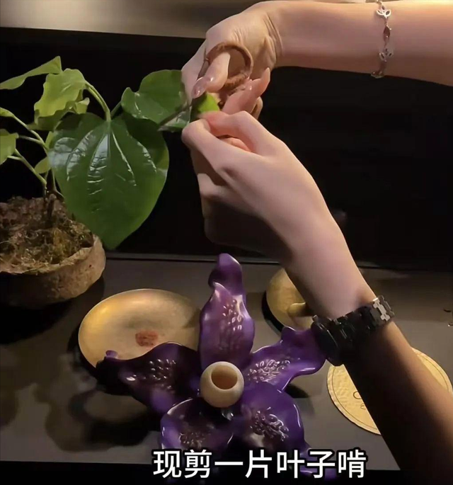 女子在上海花8000元吃粪？涉事餐厅年夜
曝光，其他菜品更是没眼看！