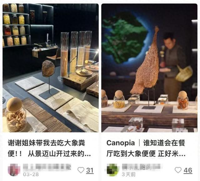 已存案！人均3888元的上海餐厅，用年夜
象粪便做甜品，另有腐臭味糊糊…