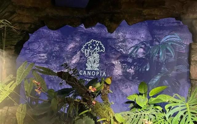 已存案！人均3888元的上海餐厅，用年夜
象粪便做甜品，另有腐臭味糊糊…