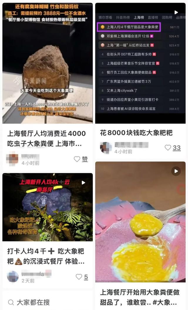 已存案！人均3888元的上海餐厅，用年夜
象粪便做甜品，另有腐臭味糊糊…
