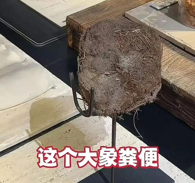 已存案！人均3888元的上海餐厅，用年夜
象粪便做甜品，另有腐臭味糊糊…