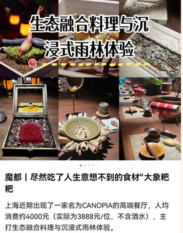 3888元一位！用大年夜

象粪便做甜品，上海一餐厅被备案调查，员工称首创人研究了7年