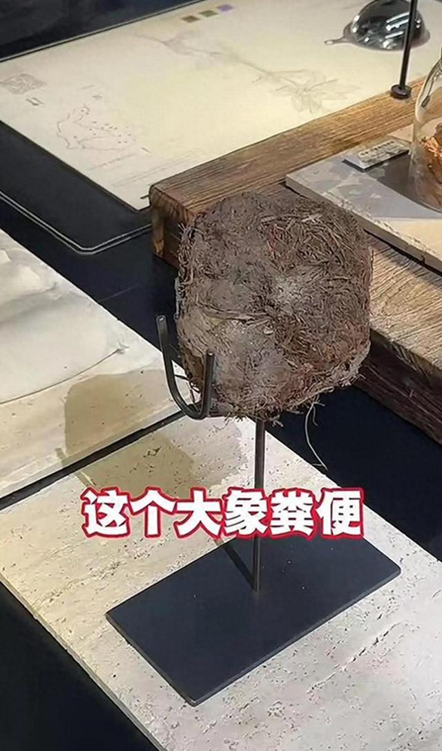 3888元一位！用大年夜

象粪便做甜品，上海一餐厅被备案调查，员工称首创人研究了7年