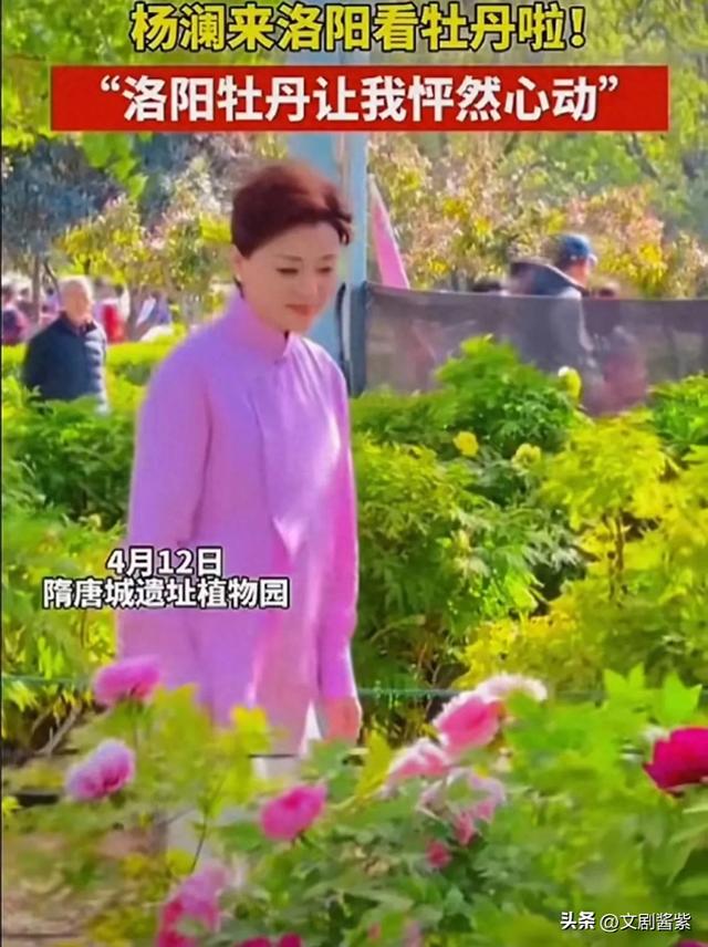 这一天“又矮又小”52岁邓亚萍震惊全网，网友辣评：丑得糟蹋汉服