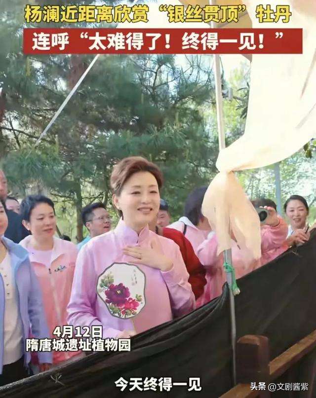这一天“又矮又小”52岁邓亚萍震惊全网，网友辣评：丑得糟蹋汉服