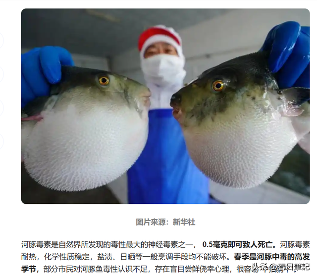 含剧毒无解药！这种东西不克不及
吃，高温烹煮也无用，误食极年夜
概死亡