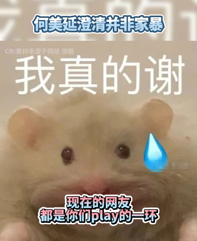 娱乐圈“榜样夫妻”人设崩塌，家暴、荡妇羞耻、孕期聊骚全被曝光