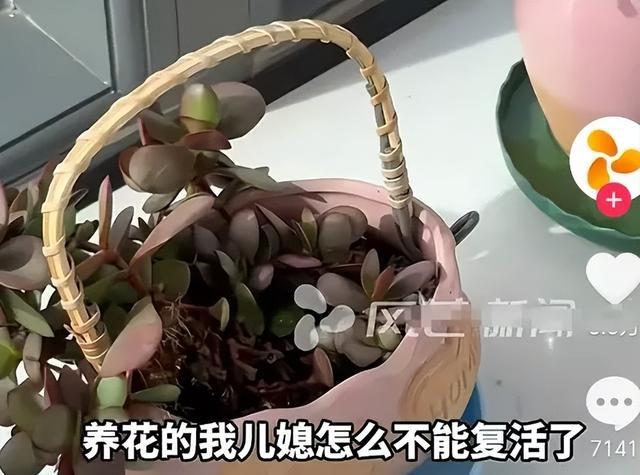 江西一家三口灭门惨案开庭：生事
者父子的运动，刷新人性下限