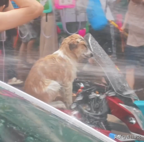 太丢人！云南泼水节上演恶心一幕，男子做法惹公愤
，了局很解气