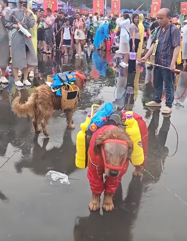 太丢人！云南泼水节上演恶心一幕，男子做法惹众怒，了局很解气
