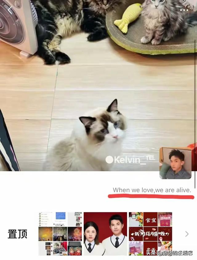 广东33岁夫君殉情后续！妻子貌美，知恋人透露内幕，齐备都有原因