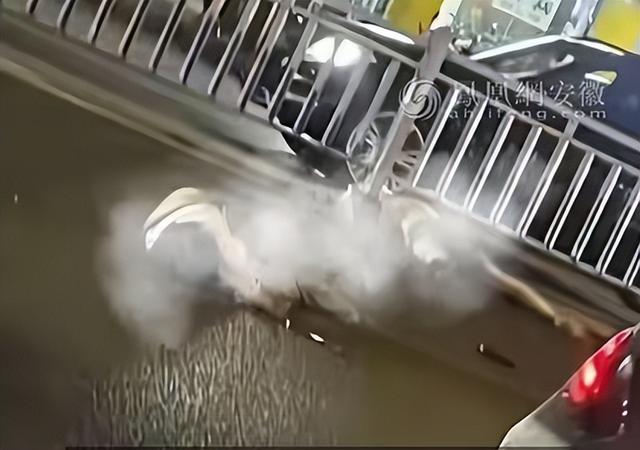 难怪撞死人还敢嚣张！网友曝撞死1家3口凶手怙恃
身份，果然不简单