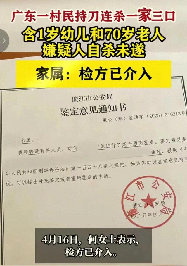 广东廉江一家3口被杀，妈妈很漂亮，凶手身份被扒，知情人曝本相