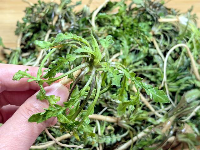 越吃眼睛越亮的3种菜，建议：隔天吃一次，养肝明目、补脾养胃！
