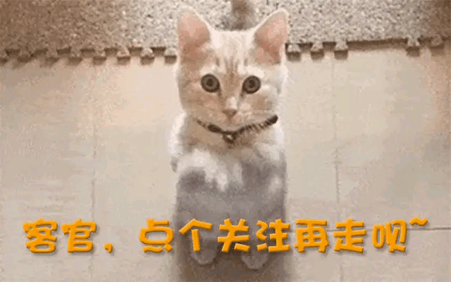 看见森林北的湿身照，才明白三婚的汪峰多会挑，章子怡输的不冤