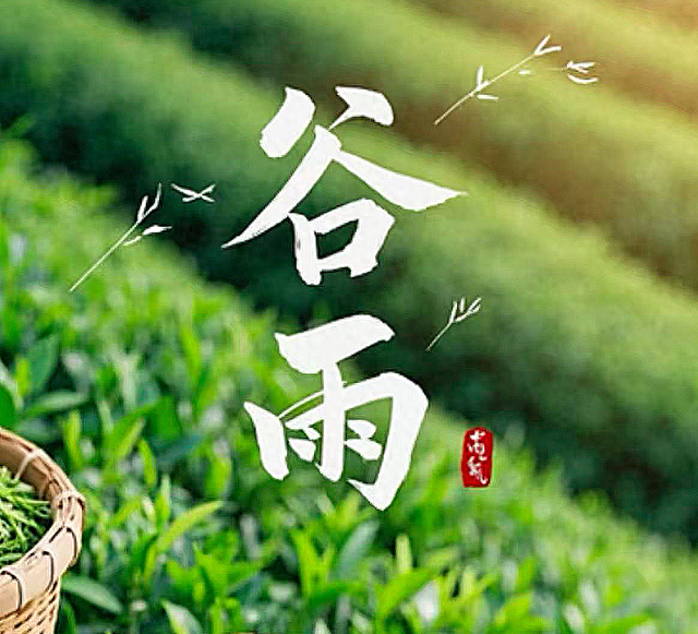 “谷雨不去祛湿，一年湿气重”，本日谷雨，多喝3汤，祛湿体质好