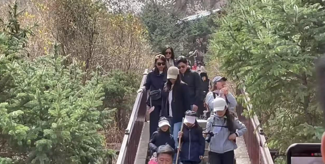 郭晶晶百口游山西！两女儿拿爬山棍自己走，79岁霍震霆由两人扶持
