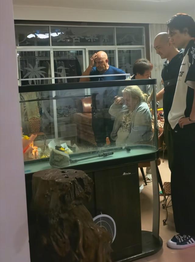泪目！洋媳妇奇娜父母来华奔丧，杨淙下跪欢迎，婆婆鞠躬说对不起