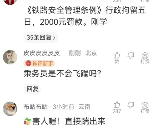女子伸腿拦高铁后续：官方转达细节，女子身份被扒，结局大年夜

快人心