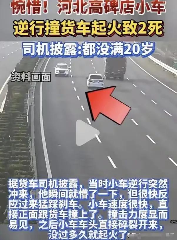 22岁新手司机高速逆行撞货车，猛火中扒窗惨叫，与女伴双双死亡

