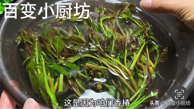 香椿焯水是严重毛病
，40年大年夜

厨教我一招，鲜香入味，营养全保住