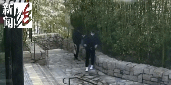 18-10-14-4-20-25931.gif
