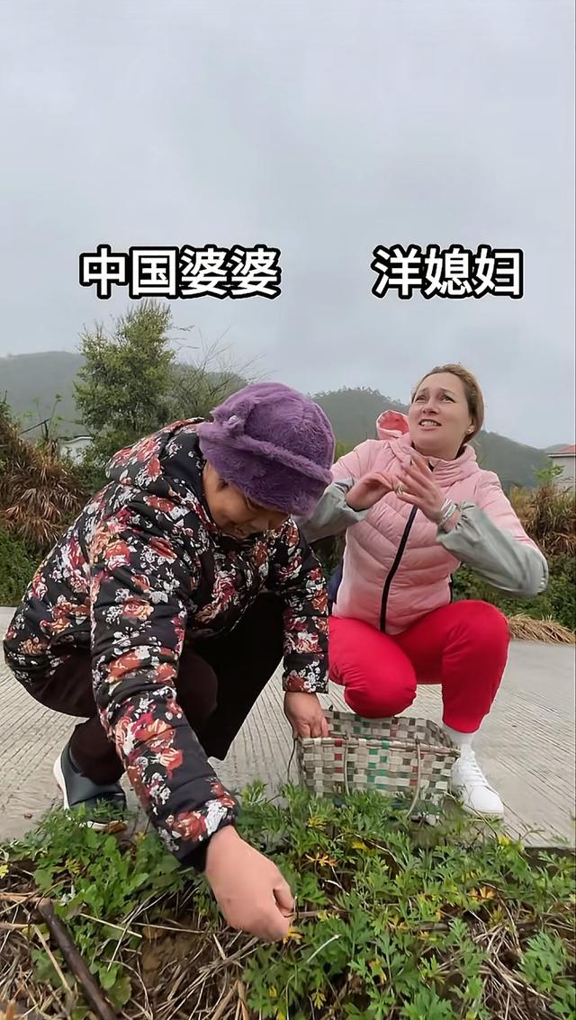 “网红洋媳妇” 杨奇娜去世，怙恃
飞30多小时来华，丈夫下跪道歉