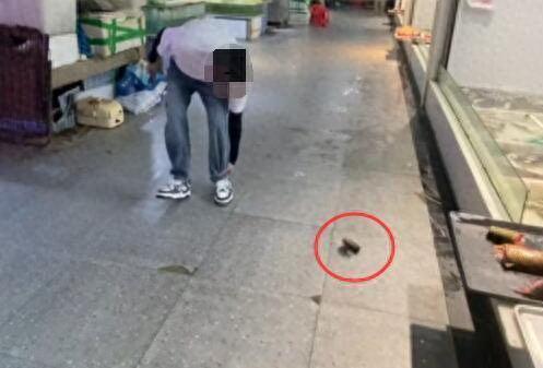 男子买鱼请求
不宰杀被扔秤砣，当地 ：伤人者行拘12天，商户关停15天，继承备案调查
