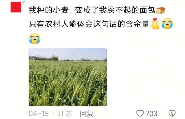 谁来管管现在的面包店啊？真是太离谱了！
