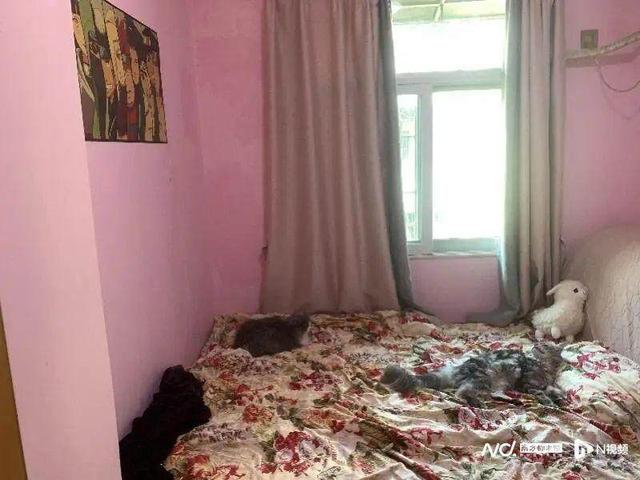 深圳33岁夫君为亡妻殉情留下遗书盼望合葬 岳母发声
