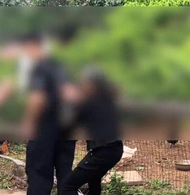 旅客
在成都龙泉山私摘枇杷，农户以每个100元索赔？官方：经调度
赔了30元