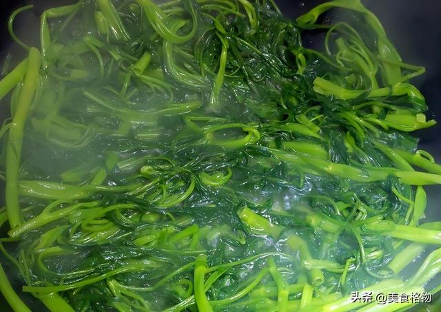车前草是个宝，很多人都不知道有什么用，看完长见地了