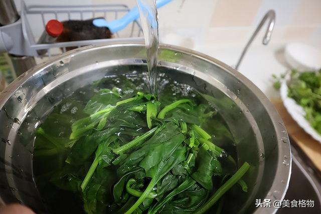 车前草是个宝，很多人都不知道有什么用，看完长见地了