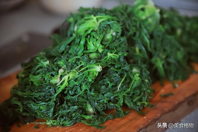 车前草是个宝，很多人都不知道有什么用，看完长见地了