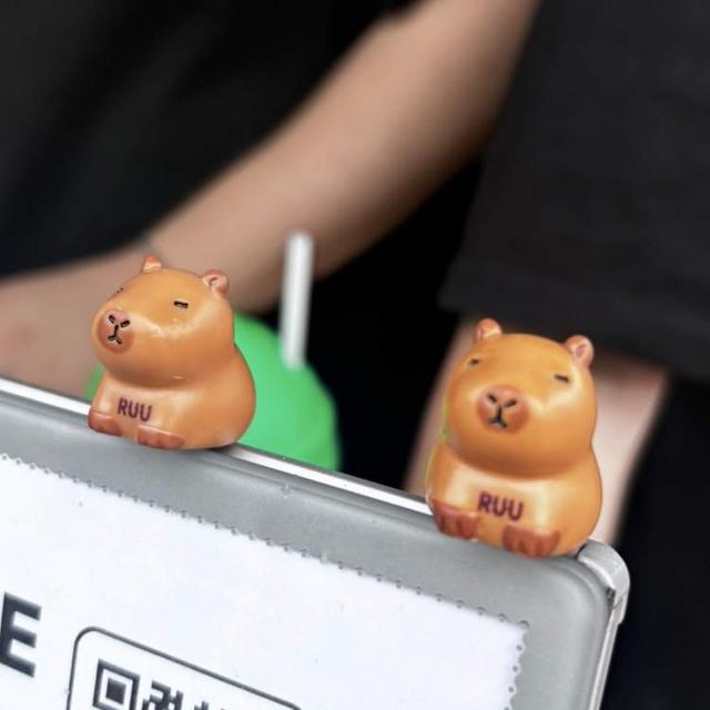 能薅10斤羊毛！？薅得手软！另有咖啡豆手串、咖啡渣蜂鸟杯、首发“葫芦”水杯，咖啡节文创超风趣！