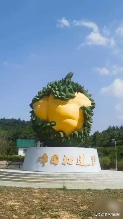 泰国大批
水果腐烂，因为摊上的一句中文，中国游客
：本身留着吧！