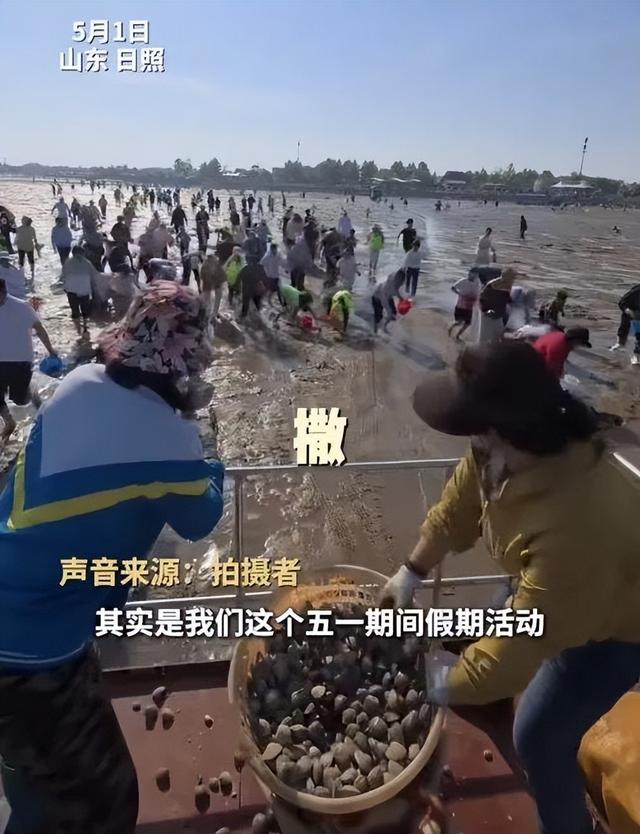 山东一景区怕旅客
赶不到海，一下战书撒3000斤蛤蜊！工作人员
：给旅客
供应

感情代价，不克不及
空手而归