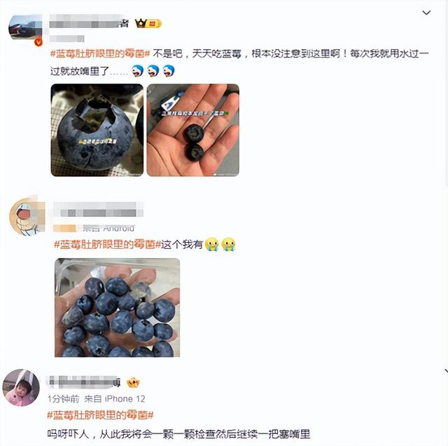 上热搜！这种生果
“肚脐眼”有霉菌？网友：每天都吃