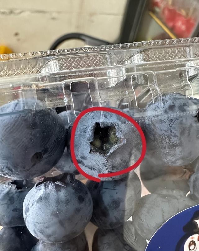 上热搜！这种生果
“肚脐眼”有霉菌？网友：每天都吃