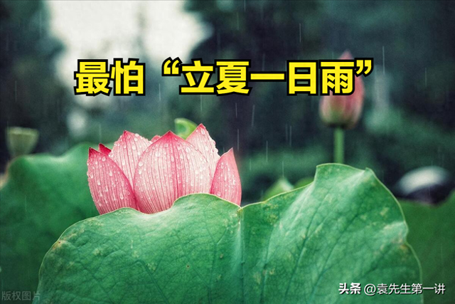 本日立夏，白叟
说最怕“立夏一日雨”，立夏下雨有啥预兆？早了解