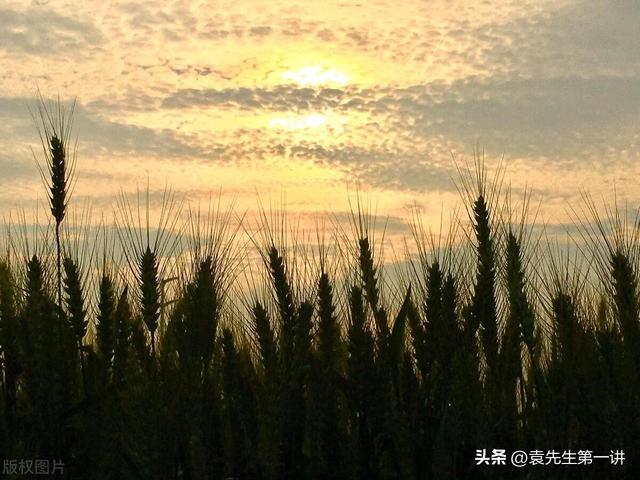 本日立夏，白叟
说最怕“立夏一日雨”，立夏下雨有啥预兆？早了解