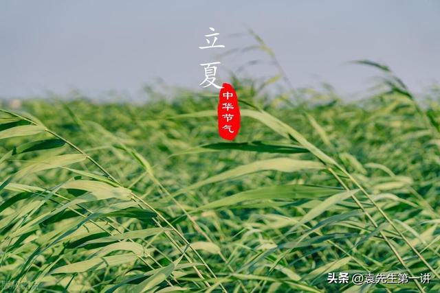 本日立夏，白叟
说最怕“立夏一日雨”，立夏下雨有啥预兆？早了解