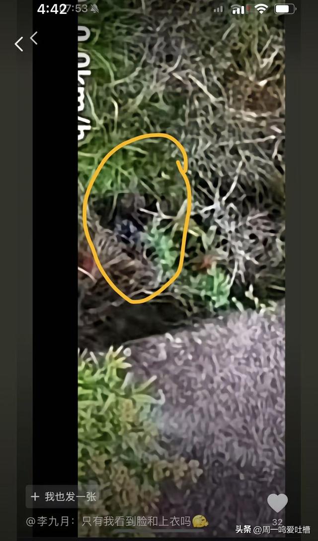 后续！莆田失落男孩，游客
：孩子脸色惨白，没气力
语言，狂追哥哥