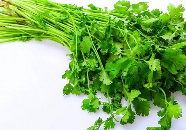 香菜成核心！专家研究

：常常吃香菜的人，用不了多久，或有5变化