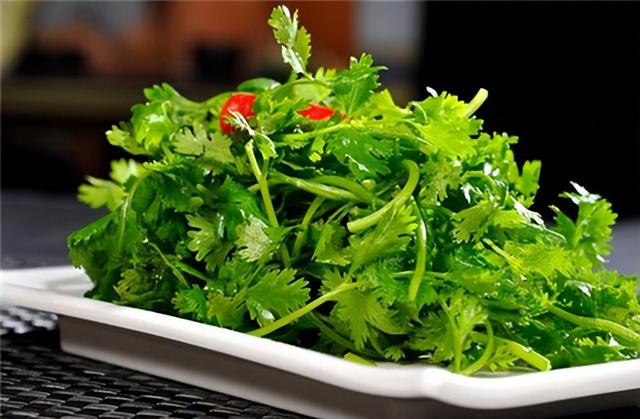 香菜成核心！专家研究

：常常吃香菜的人，用不了多久，或有5变化